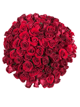 Cargar imagen en el visor de la galería, THE KING 100