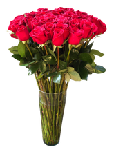 Cargar imagen en el visor de la galería, THE KING 50 y 100