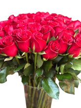 Cargar imagen en el visor de la galería, THE KING 50 y 100