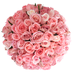 PINK BOWL