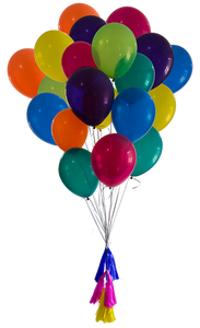 RAINBOW 20