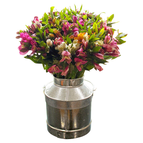 Arreglo de alstroemerias, alstroemerias, alstroemerias de colores, arreglo de cumpleaños, feliz cumpleaños, cumple, arreglos padres, arreglos de flores, arreglos de alstroemerias, arreglos grandes, flores a domicilio, flores premium a domicilio, flores cdmx, envíos cdmx, arreglos de flores, arreglos de flores a domicilio, arreglos cdmx, arreglos de flores, arreglos florales, arreglos florales a domicilio, arreglos de flores para cumpleaños, arreglos de flores naturales.