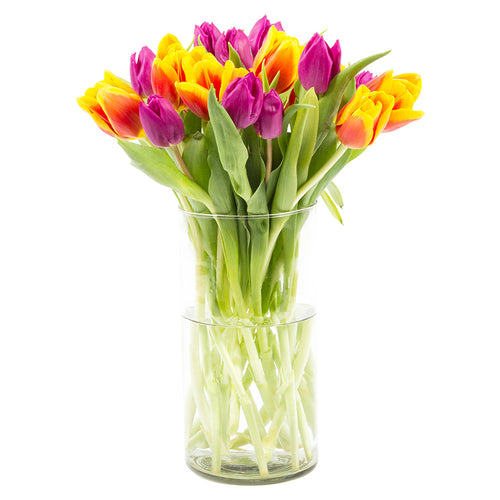 arreglos de tulipanes, florero con tulipanes, tulipanes de colores, treinta tulipanes, tulipanes increíbles, feliz cumpleaños, cumple, arreglos padres, arreglos de flores, arreglos de alstroemerias, arreglos grandes, flores a domicilio, flores premium a domicilio, flores cdmx, envíos cdmx, arreglos de flores, arreglos de flores a domicilio, arreglos cdmx, arreglos de flores, arreglos florales, arreglos florales a domicilio, arreglos de flores para cumpleaños, arreglos de flores naturales.