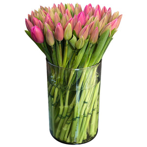 arreglos de tulipanes, florero con tulipanes, tulipanes de colores, ochenta tulipanes, arreglo gigante de tulipanes, arreglo jumbo de tulipanes, arreglo titan de tulipanes, tulipanes increíbles, feliz cumpleaños, cumple, arreglos padres, arreglos de flores, arreglos de alstroemerias, arreglos grandes, flores a domicilio, flores premium a domicilio, flores cdmx, envíos cdmx, arreglos de flores, 