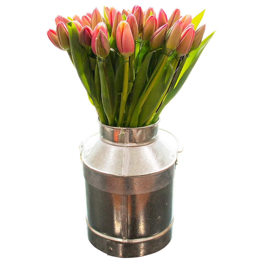 arreglos de tulipanes, florero con tulipanes, tulipanes de colores,  tulipanes increíbles, feliz cumpleaños, cumple, arreglos padres, arreglos de flores, arreglos grandes, flores a domicilio, flores premium a domicilio, flores cdmx, envíos cdmx, arreglos de flores, arreglos de flores a domicilio, arreglos cdmx, arreglos de flores, arreglos florales, arreglos florales a domicilio, arreglos de flores para cumpleaños, arreglos de flores naturales.