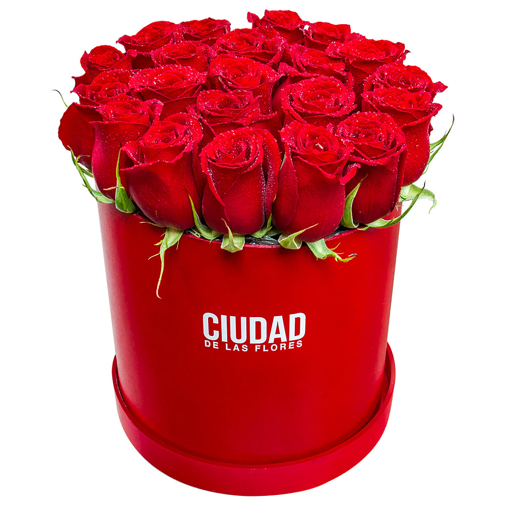 RED VELVET 24 RED