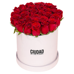 RED VELVET 24 WHITE