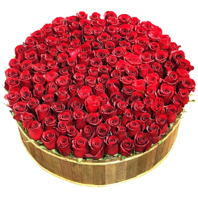 RED VELVET TITÁN