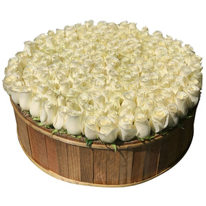 WHITE VELVET TITÁN